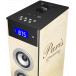 Tour Multimédia Bluetooth® 60W FM Ports USB/SD Paris