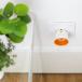 Priska+ Mini WiFi Smart Plug with energy counter Konyks