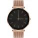 Montre connect&eacute;e FW27 Or