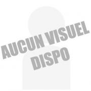 Coque Google Pixel 9 Pro XL Iceland Pro Transparente